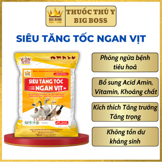 Vỗ béo vịt ngan, Siêu tăng tốc ngan vịt, Thức ăn cho gia cầm Big Boss