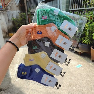 Tất trẻ em sét 5 đôi cổ cao Chữ C mix 5 màu cho bé từ 2 đến 12 tuổi