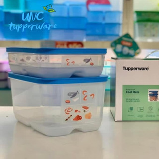 Bộ hộp trữ mát Tupperware Cool Mate (2 Hộp)
