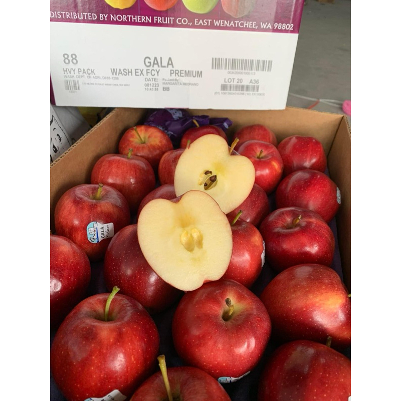 HCM - SHIP LIỀN 👉🏻TÁO NORDIC GẤU MỸ 👈🏻