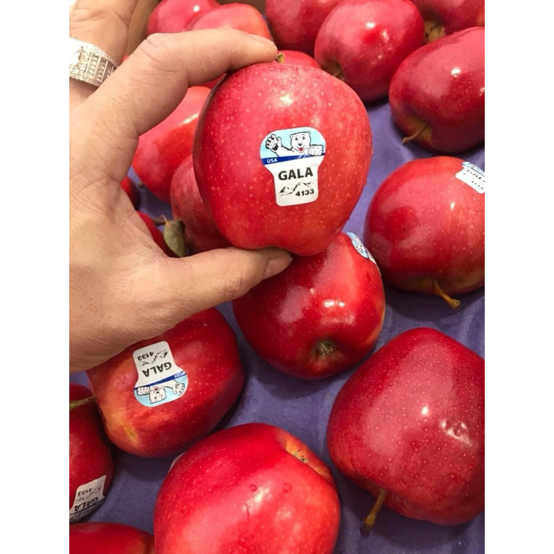 HCM - SHIP LIỀN 👉🏻TÁO NORDIC GẤU MỸ 👈🏻