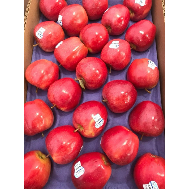 HCM - SHIP LIỀN 👉🏻TÁO NORDIC GẤU MỸ 👈🏻