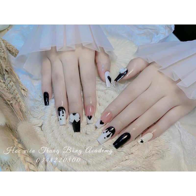 Set Nail Box phối màu đơn giản
