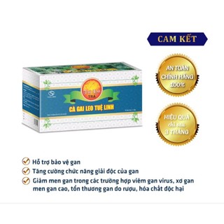 Trà túi cà gai leo tuệ linh hộp 25 túi lọc x 1,8gram