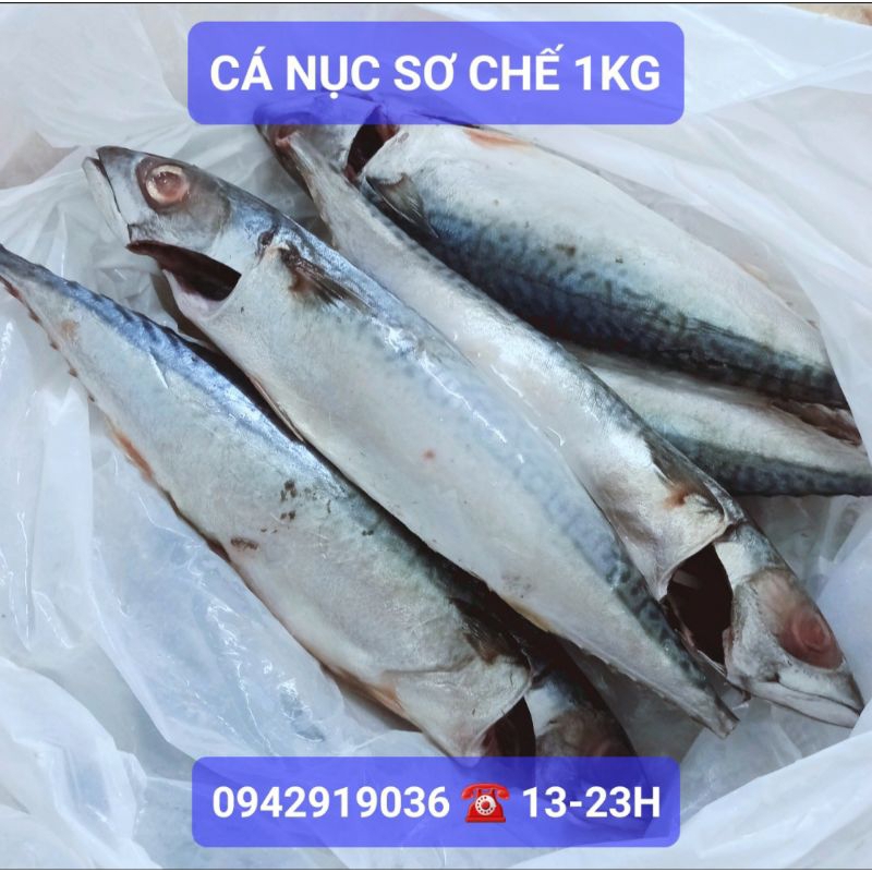 1Kg Cá Nục lớn đã sơ chế, nấu/làm pate tươi cho chó mèo 5-7c/kg 🐶🐱❤️ - Joyful Day
