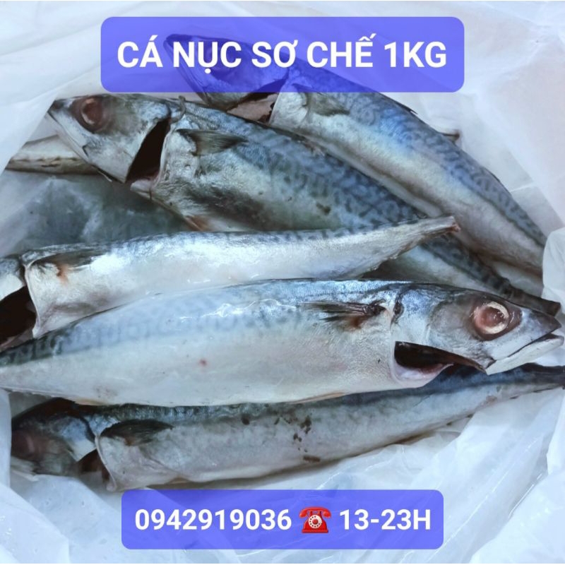 1Kg Cá Nục lớn đã sơ chế, nấu/làm pate tươi cho chó mèo 5-7c/kg 🐶🐱❤️ - Joyful Day