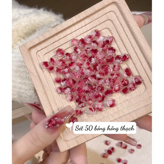 Sét Cham thạch hoa Hồng - phụ kiện làm nail