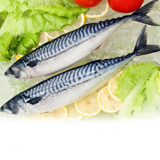 Cá Saba Nauy size 2.3con /kg bao ngọt ,chắc thịt