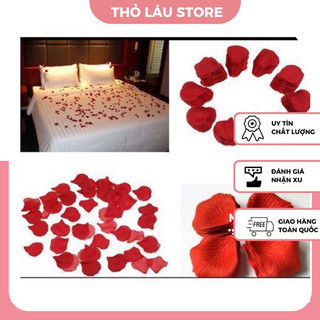 Combo 100 cánh hoa hồng giả (MÀU ĐỎ màu Hồng)