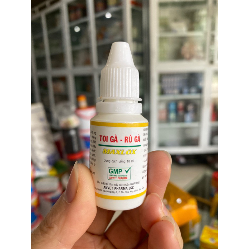 GÀ RÙ, GÀ TOI - MAXLOX (10ml) Dung dịch uống.