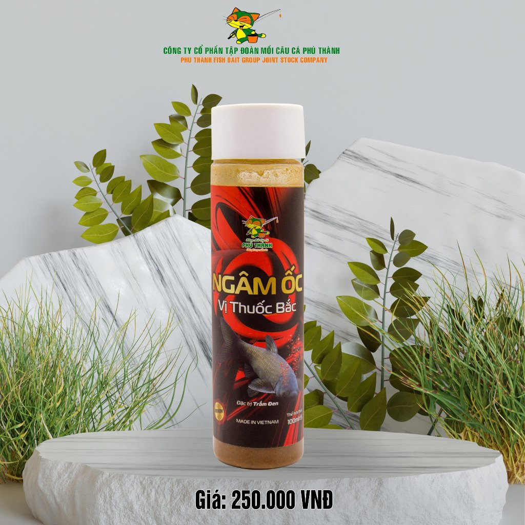 Ngâm Ốc Vị Thuốc Bắc