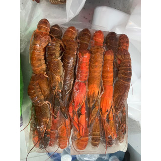 HOẢ TỐC - 1KG TÔM HÙM ĐẤT