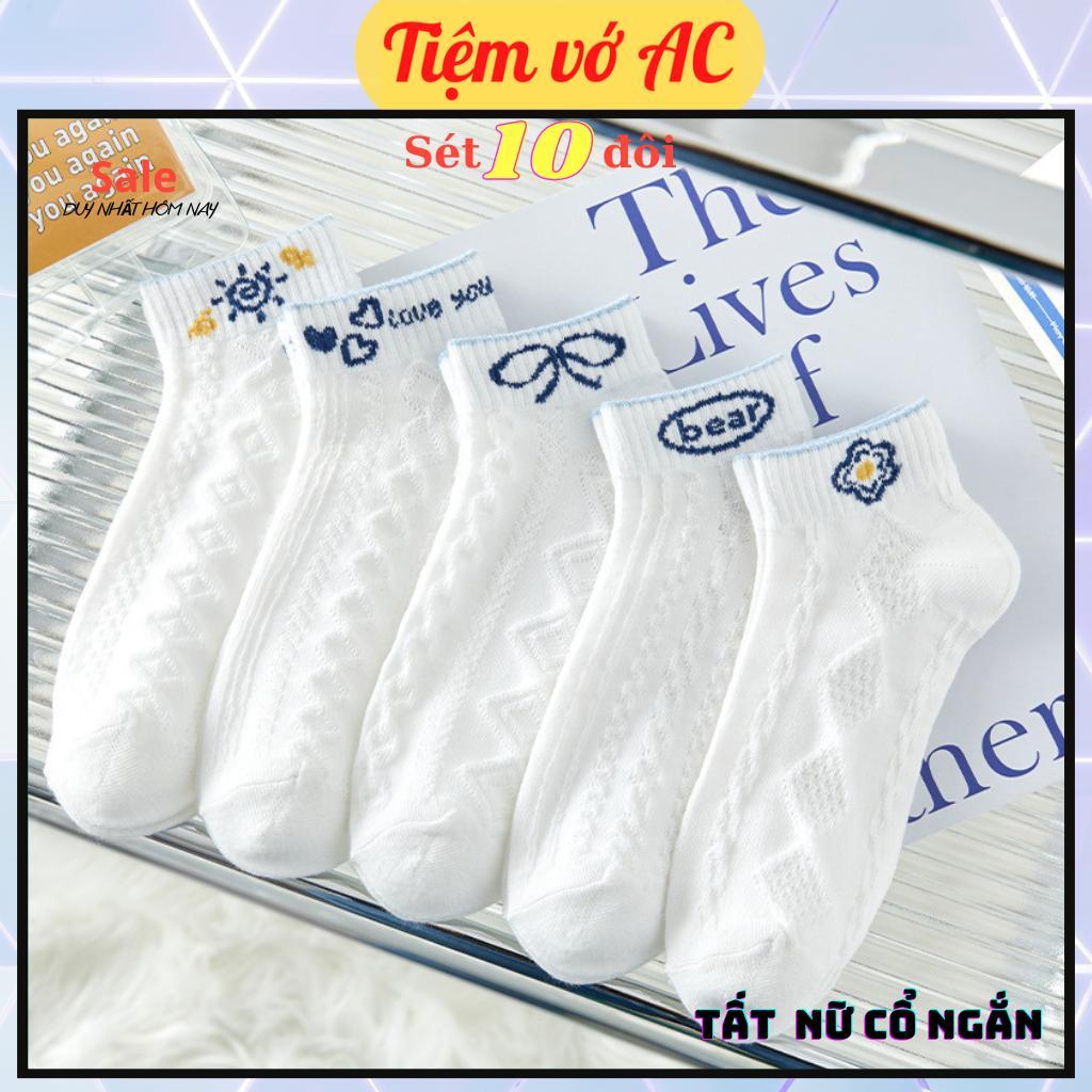 Tất nữ cổ ngắn sét 10 đôi 5 màu TN42
