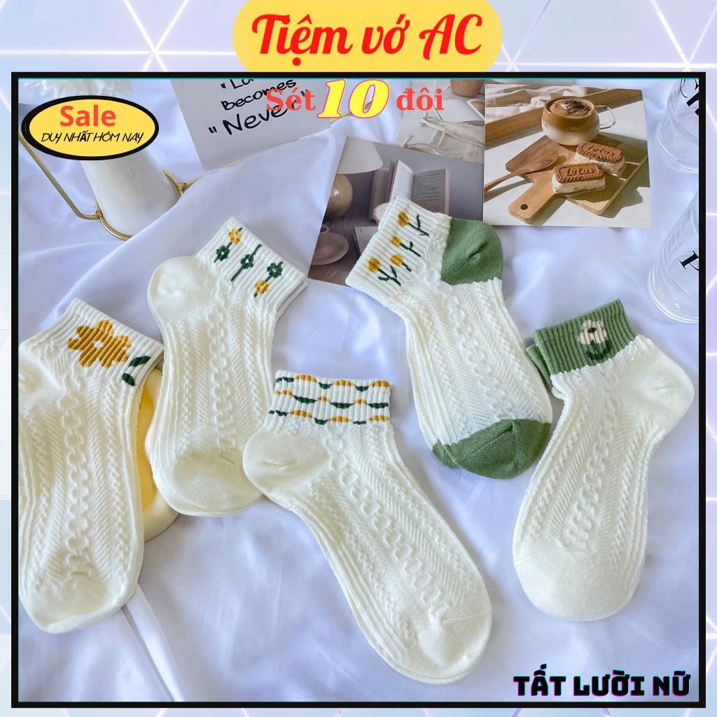 Tất nữ cổ ngắn sét 10 đôi 5 màu TN42