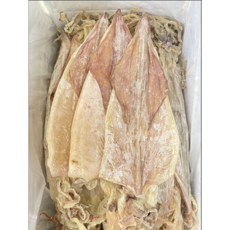 Combo 1 con khô mực câu Sông Đốc mực thước size 7-10 con/kg