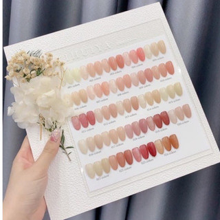 Set sơn thạch 24 màu tông hồng nude XI-HUIYA kèm bảng màu