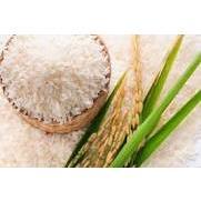 Combo 5kg nếp cau- gạo nếp rất thơm, ngon, dẻo nấu bánh trưng và thổi xôi ngày tết