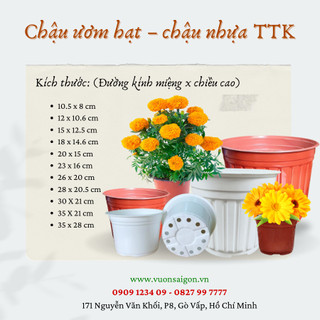 (Combo 5 chậu) Chậu nhựa ươm hạt TTK (35cmx28cm) chậu nhựa trồng cây giá rẻ (Vườn Sài Gòn - Vuon Sai Gon)