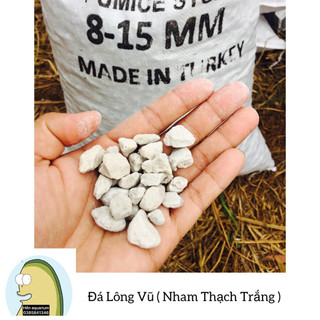Đá lông vũ ( nham thạch trắng ) : đá lọc siêu rẻ và hiệu quả
