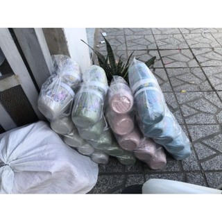 Bình đá mẫu hot 1 lít full màu