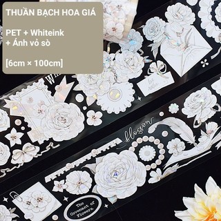 Băng dính PET nền trong