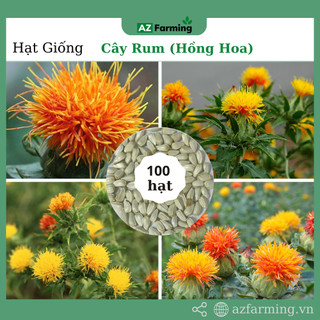 Hạt giống cây hoa rum - gói 100 hạt - az farming