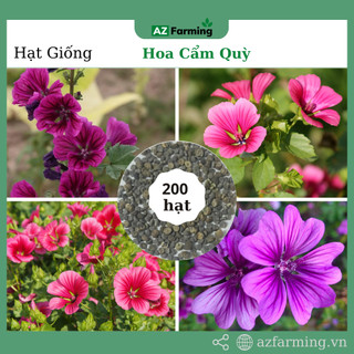 Hạt giống hoa cẩm quỳ - gói 200 hạt - az farming