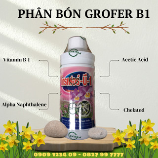 Phân bón lá B1 Thái trắng (B1 Thái Lan Grofer) chai 500ml - Chuyên dùng hoa lan, cây cảnh (Vườn Sài Gòn)