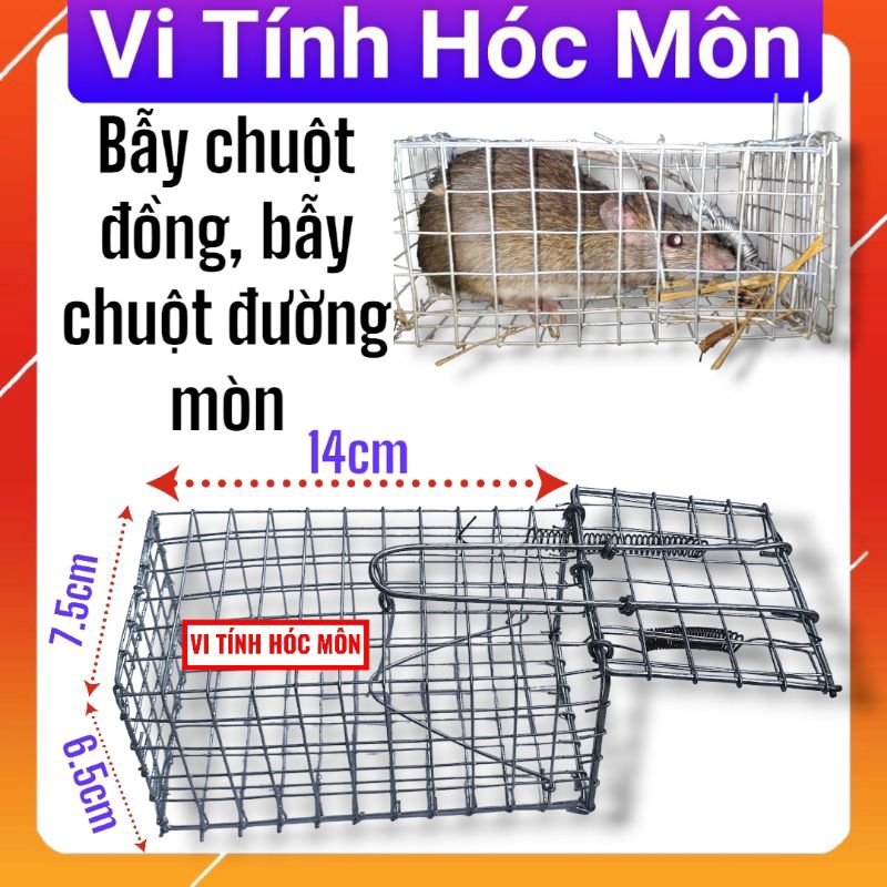 Bẫy chuột đồng, bẫy chuột đường mòn, bẫy sóc