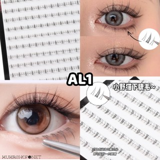 Lông mi chùm giả Mona Natural Lightness Soft tách sợi, tự nhiên mềm nhẹ dễ sử dụng