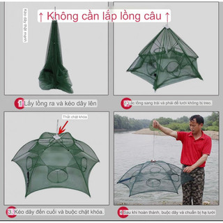 Lồng Ô Bát Quái Bắt Cá, Tôm, Cua, Lươn Trạch