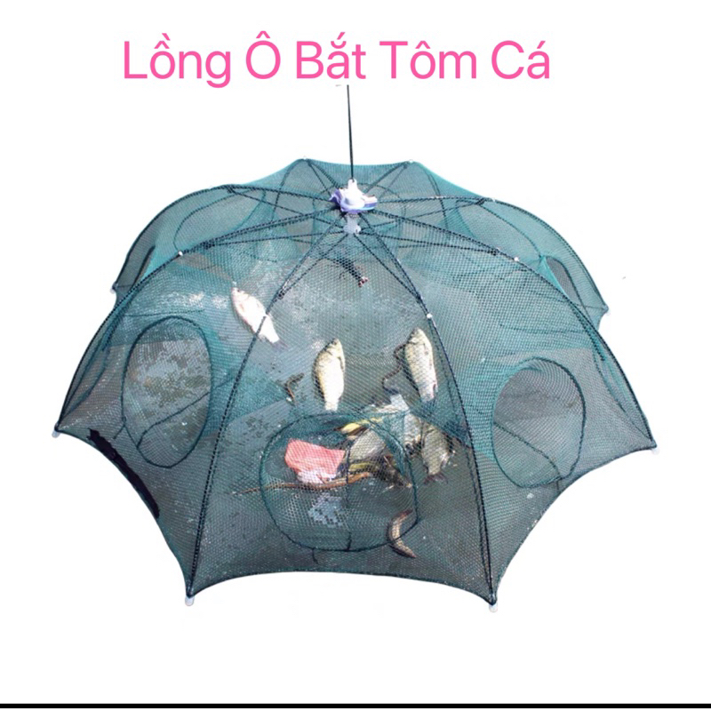 Lồng Ô Bát Quái Bắt Cá, Tôm, Cua, Lươn Trạch