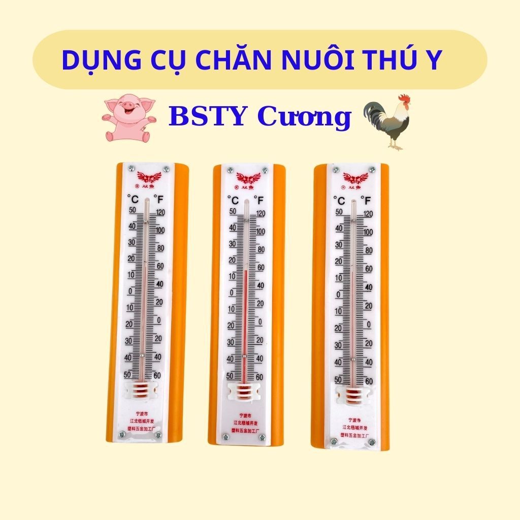 Nhiệt Kê, Nhiệt Kế Cơ Học, Nhiệt Kế Treo, Siêu Bền Và Không Dùng Pin