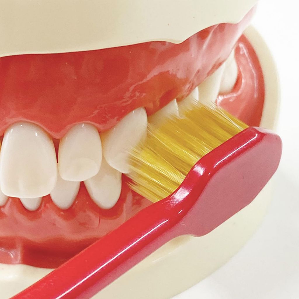 Bàn chải đánh răng lông mảnh, mềm, đầu nhỏ 6 line Ebisu - Nhiều mẫu  - Hachi Hachi Japan Shop