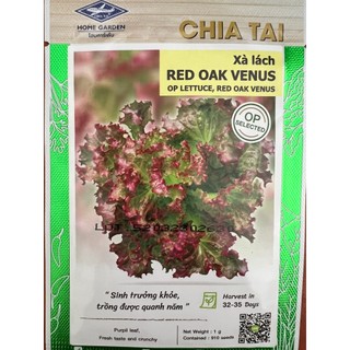 Hạt giống xà lách tím red oak venus