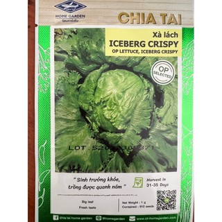 Hạt Giống Xà Lách Chia Tải Iceberg Crispy