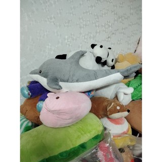 Gấu bông cá hàng kiện size 60-65cm