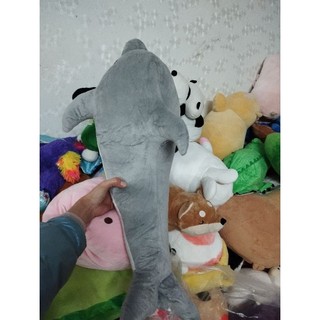 Gấu bông cá hàng kiện size 60-65cm