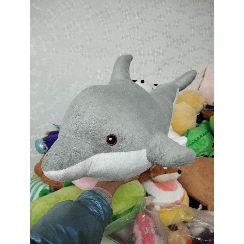 Gấu bông cá hàng kiện size 60-65cm