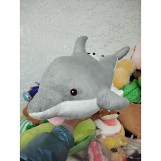 Gấu bông cá hàng kiện size 60-65cm