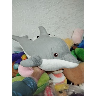 Gấu bông cá hàng kiện size 60-65cm