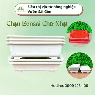 Chậu bonsai chữ nhật Mini màu đỏ, trắng, nâu, trồng bonsai
