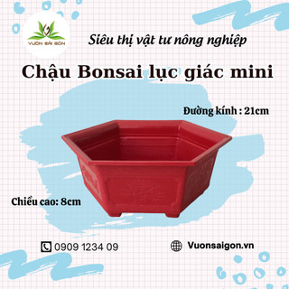 Chậu bonsai lục giác Mini dùng trồng cây bonsai mini chậu nhựa bền đẹp