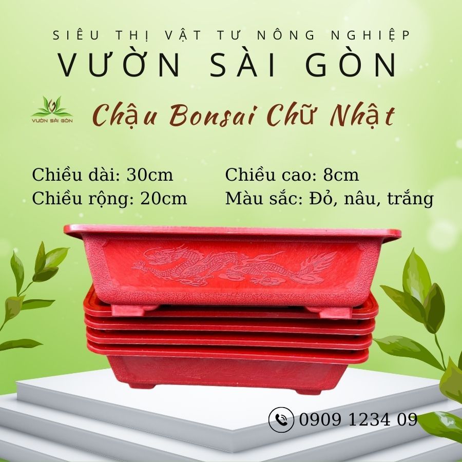 Chậu Bonsai chữ nhật 30 (30x20x8cm) nhiều màu, chậu nhựa dày bền đẹp (