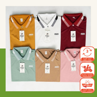 Áo Thun Polo Nữ Phong Cách Trẻ Trung
