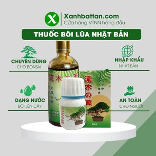 Thuốc Bôi Lũa Cây Nhật Bản Tạo Vẻ Đẹp Tự Nhiên Cho Bonsai, Cây Kiểng