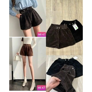 Quần short nữ nhung tăm cao cấp thu đông- Quần đùi nữ mặc nhà