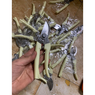 Kéo bấm cành chỉ 25 nghìn