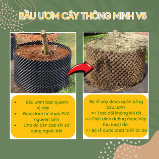 Bầu ươm cây thông minh, Khổ 0.4m x 1m, bầu ươm rau, cây cảnh, trồng mai (Vườn Sài Gòn)