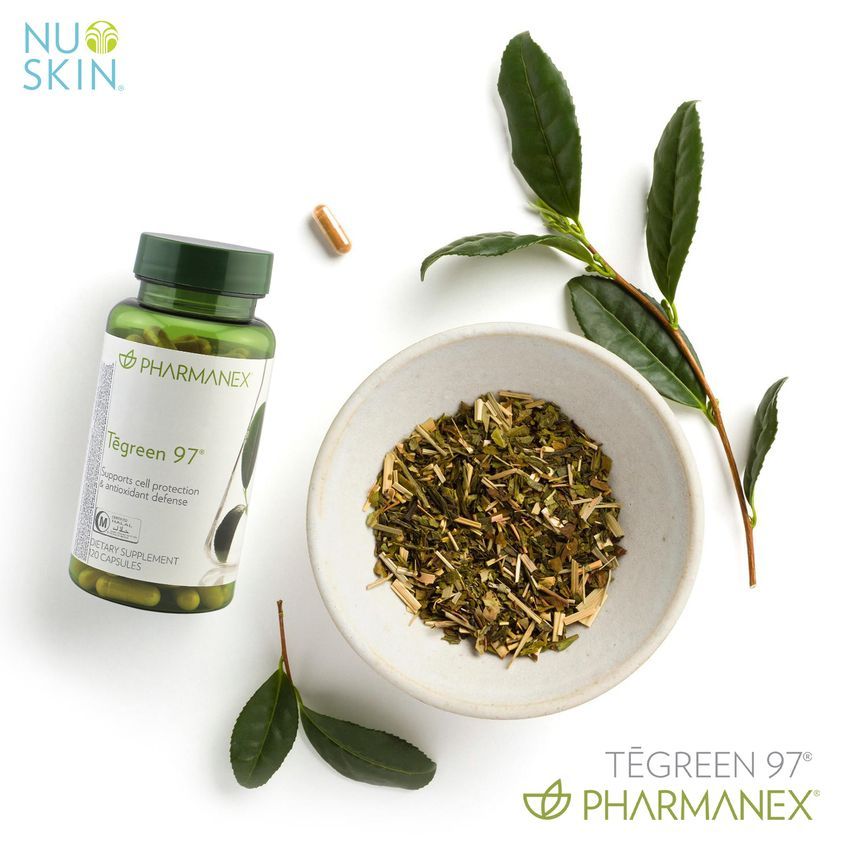 Trà xanh tegreen 97 nuskin